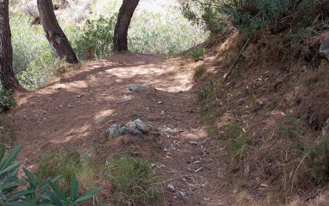 II CxM Canillas de Albaida reto HIGINIO (track oficial 14 kms)