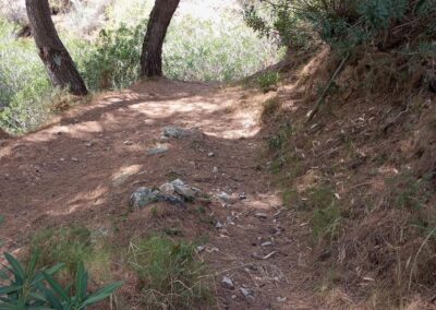 II CxM Canillas de Albaida reto HIGINIO (track oficial 14 kms)