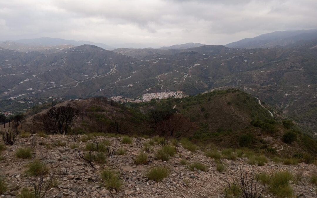 III CxM Canillas de Albaida reto HIGINIO (track oficial 24.5 kms)