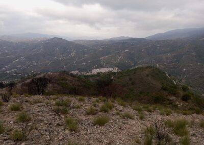 III CxM Canillas de Albaida reto HIGINIO (track oficial 24.5 kms)